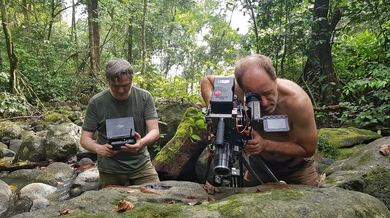 Oliver Goetzl (links) und Ivo Nörenberg (rechts) versuchen, auch die Insekten von Bioko mit der Kamera einzufangen. – Bild: Phoenix