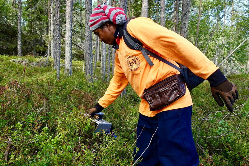 Traumjob oder Ausbeutung? – Bild: SRF2