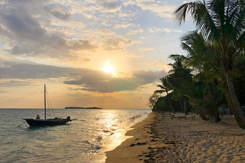 Sansibar - Afrikas wilde Schönheit – Bild: SRF1