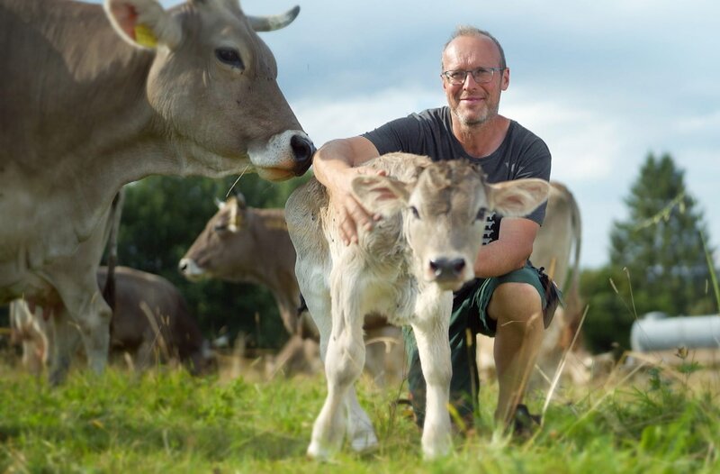 Wie sieht umwelt- und tierfreundliche Milchviehhaltung aus? – Bild: SWR