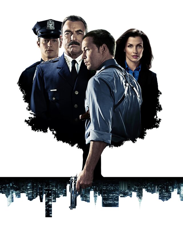Blue Bloods S03E22 Kriegserklärung (The Bitter End) fernsehserien.de
