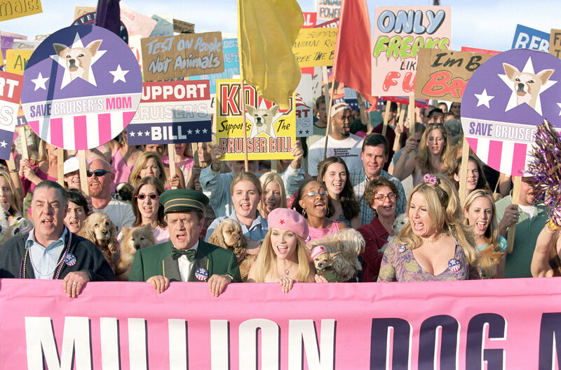 Natürlich blond 2 – Bild: Puls 8