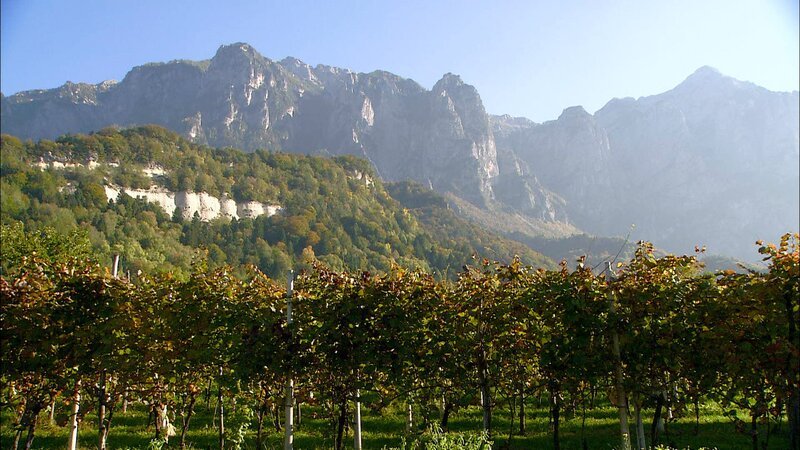 Borgo Weingarten. – Bild: ORF/​Hans Jöchler