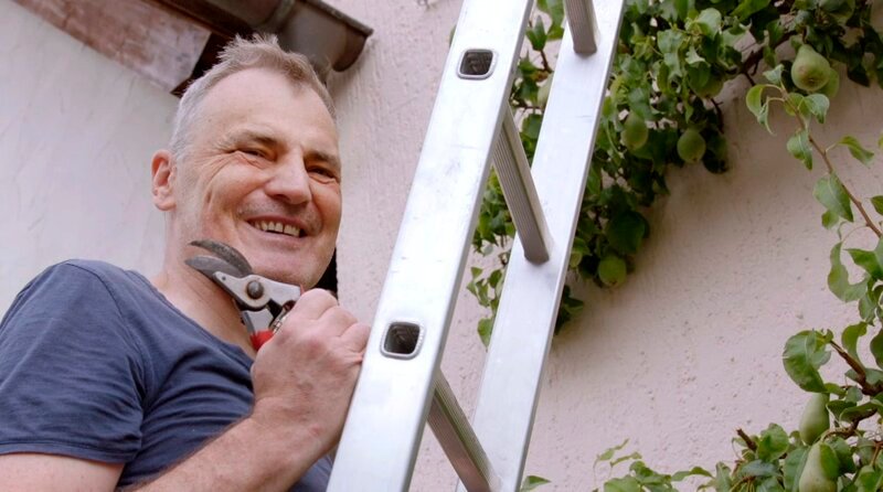 Frank Melch muss im Juli seine Spalierbirne beschneiden. Weiteres Bildmaterial finden Sie unter www.br-foto.de. – Bild: BR