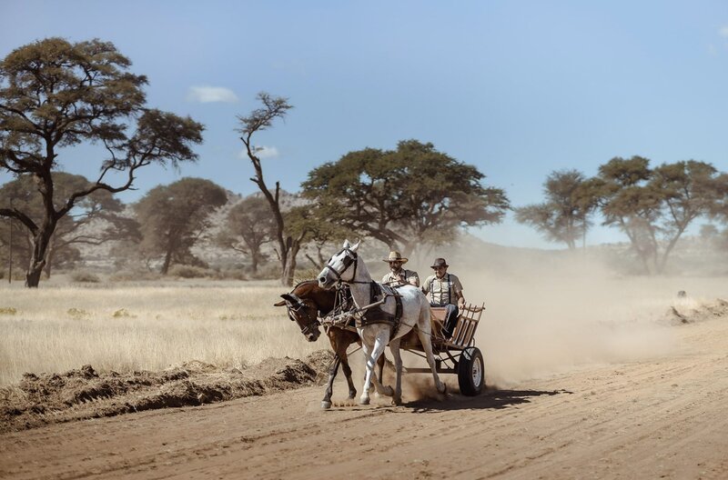 Ein typischer Baster-Pferdewagen. Die Mehrheit der Baster pendelt täglich in die Hauptstadt Windhoek. Trotzdem versuchen sie, ihre Kultur zu erhalten. – Bild: Julia Runge /​ Ein typischer Baster-Pferdewagen. Die Mehrheit der Baster pendelt täglich in die Hauptstadt Windhoek. Trotzdem versuchen sie, ihre Kultur zu erhalten.