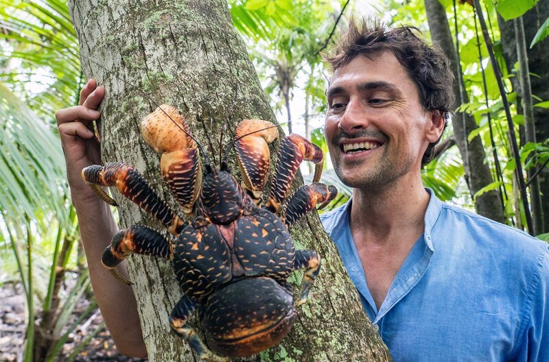 „Das ist noch ein kleiner“, sagt der Meeresbiologe Uli Kunz. Der Palmendieb kann bis zu vier Kilo schwer werden, seine Beine können eine Spannweite von fast einem Meter erreichen. – Bild: ZDF /​ © Uli Kunz /​ © Uli Kunz