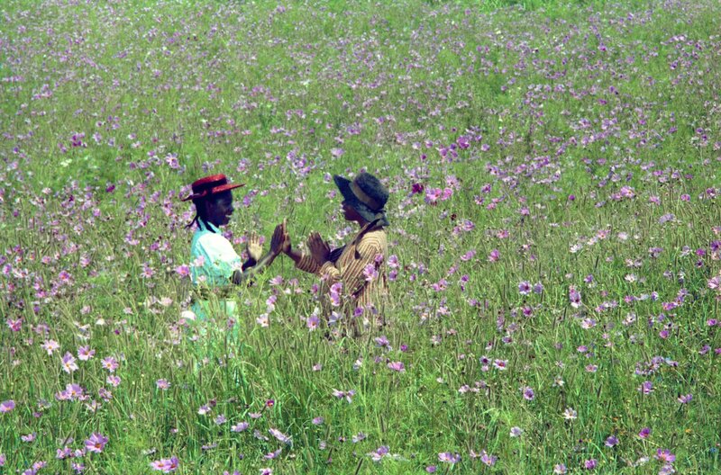 Die Farbe Lila – Bild: Amblin Entertainment /​ © Amblin Entertainment