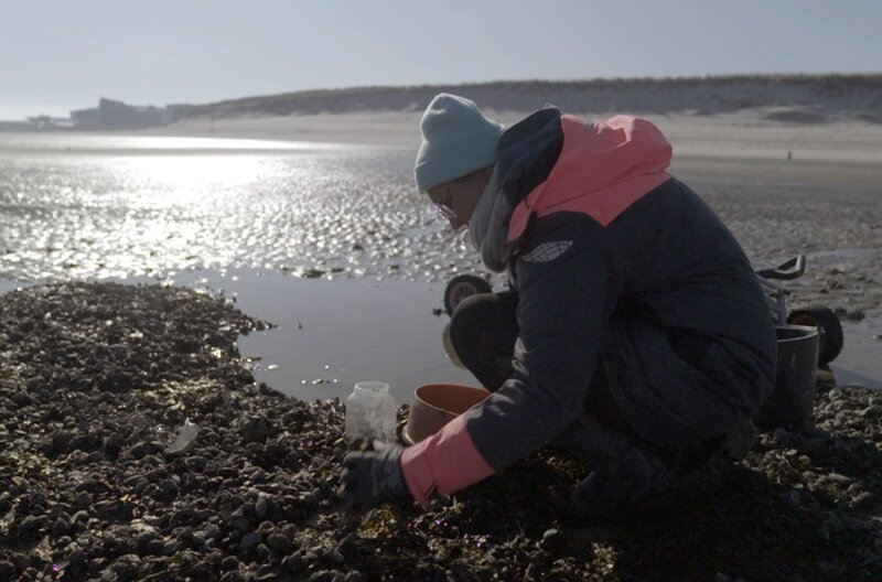 Meeresökologin Annika Cornelius vom Alfred-Wegener-Institut erforscht eingeschleppte Arten im Wattenmeer. – Bild: Martin Kaeswurm /​ © Martin Kaeswurm
