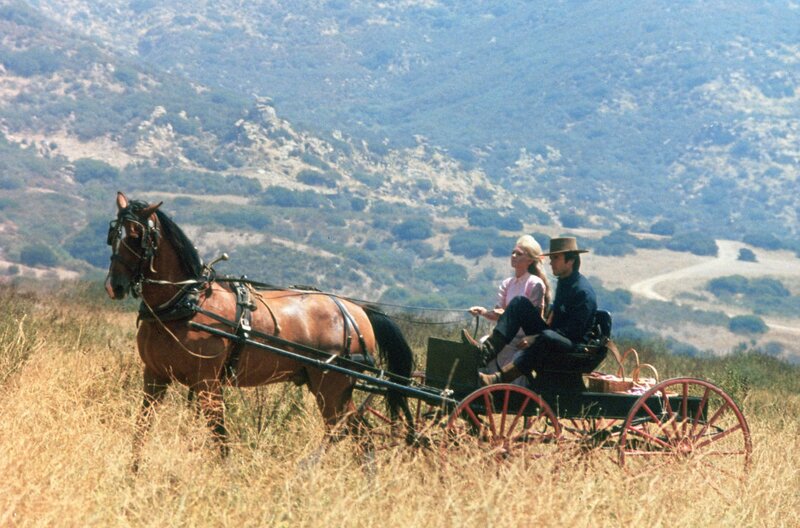 Hängt ihn höher – Bild: 1968 Rose Freeman Revocable Trust and Leonard Freeman Trust/​All rights reserved   /​ © 1968 Rose Freeman Revocable Trust and Leonard Freeman Trust/​All rights reserved