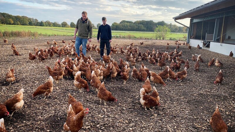 Helden der Landwirtschaft S01E06: Junge Hühner – fernsehserien.de
