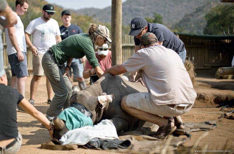 Bis zum letzten Nashorn: Auf der Spur der Wildtier-Mafia Südafrikas – Bild: Chantelle Melzer /​ Petronel Nieuwoudt hat die Auffangstation „Care for Wild“ gegründet, um Nashorn-Waisen wieder aufzupäppeln.