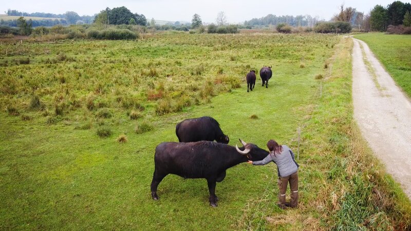 Helden der Landwirtschaft S01E02: Der Raupentraktor – fernsehserien.de