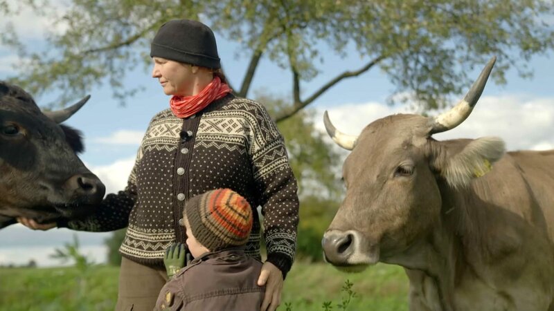 Unser Wetter: Zwischen Dürre und Flut – Bild: ORF/​EMB Film