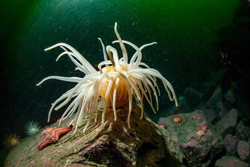 Die Magie der Fjorde – Bild: SRF1