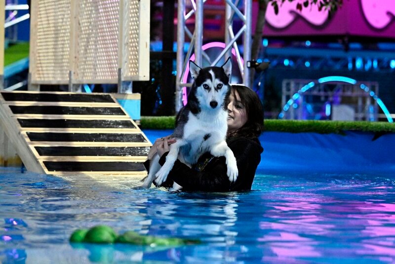 Top Dog Germany - Der Beste Hund Deutschlands Folge 3 www.fernsehserien.de