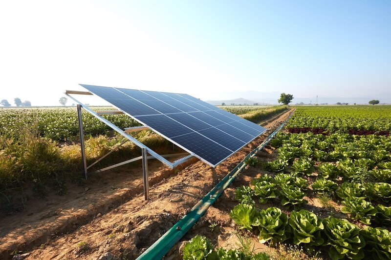 A lettuce field irrigated with solar energy – Bild: Shutterstock /​ Shutterstock /​ Copyright (c) 2022 Red Stock/​Shutterstock. No use without permission.