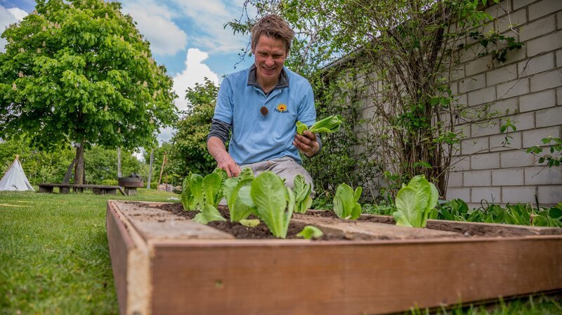Rasch durch den Garten S01E04 Beete richtig anlegen fernsehserien.de