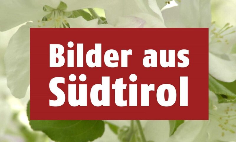 Bilder aus Südtirol – Bild: ZDF und ORF Verwendungsrecht: unbegrenzt