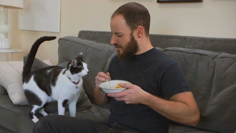 Cat trying to eat guardians food. – Bild: Animal Planet /​ Discovery Communications