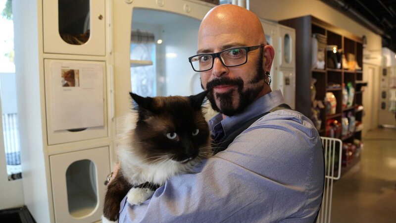 Jackson holding a cat. – Bild: Animal Planet /​ Discovery Communications