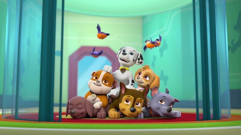 L-R: Zuma, Rubble, Marshall, Chase, Skye, Rocky – Bild: ViacomCBS