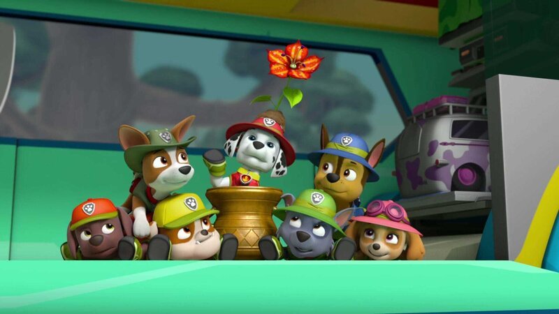L-R: Zuma, Tracker, Rubble, Marshall, Rocky, Chase, Skye – Bild: ViacomCBS
