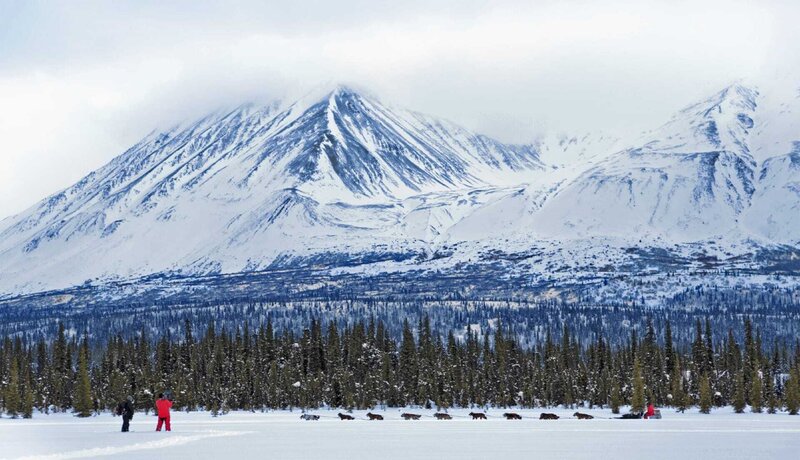 The Great Alone - Kampf im ewigen Eis – Bild: Geo Television