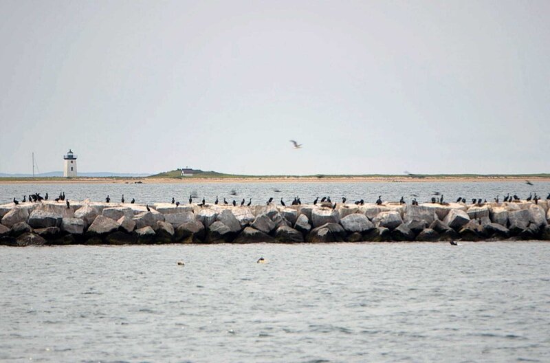 Stadt Land Kunst 72 Das Massachusetts von Edward Hopper / Jackson