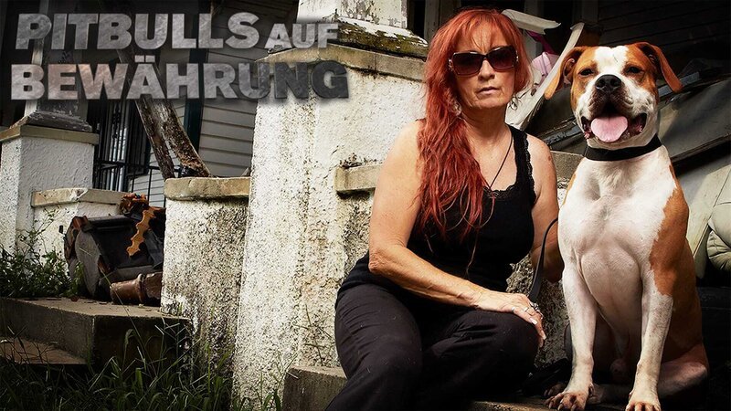 Bild: Animal Planet