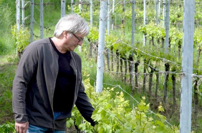 Mathias Höfflin, Winzer aus Bötzingen im Kaiserstuhl, setzt konsequent auf nachhaltigen, biologischen Weinbau. – Bild: SWR