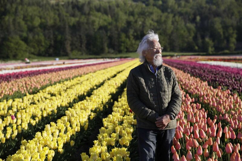 Die Welt in Farben – Bild: RTL /​ ©Boat Rocker Rights