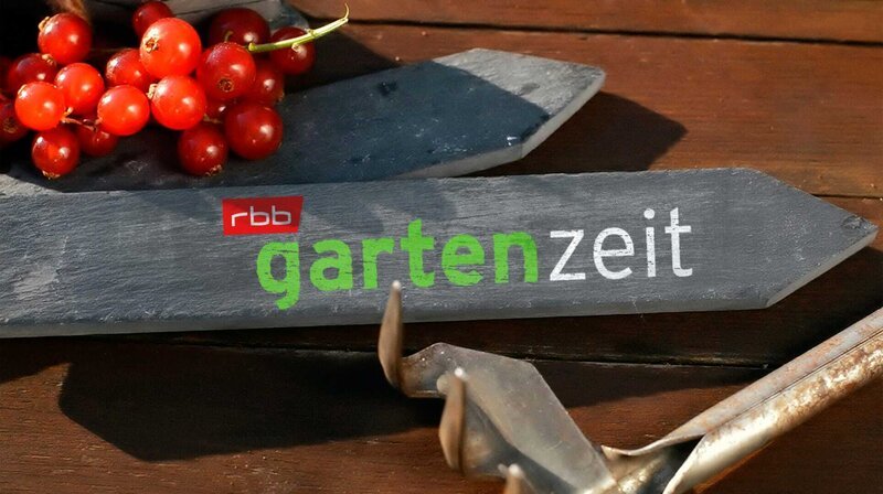 RUNDFUNK BERLIN-BRANDENBURG rbb GARTENZEIT Fernsehen. – Logo der Sendung. – Bild: @ rbb Presse & Information