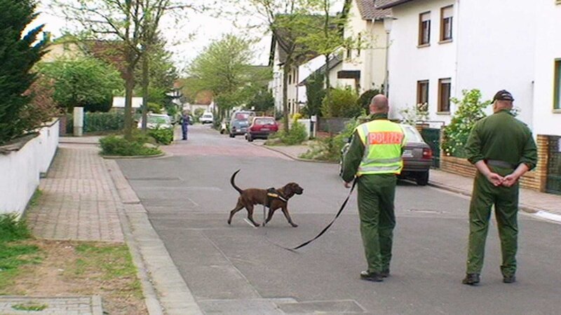 Spuerhunde der Polizei suchen Tatort – Bild: SPIEGEL TV GmbH