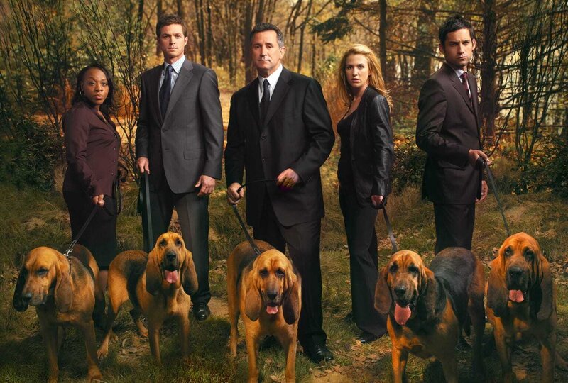 (4. Staffel) – Die Spezialeinheit des FBI für vermisste Personen im Einsatz (v.l.n.r.): Vivian (Marianne Jean-Baptiste), Martin (Eric Close), Jack (Anthony LaPaglia), Samantha (Poppy Montgomery) und Danny (Enrique Murciano) – Bild: VOXup