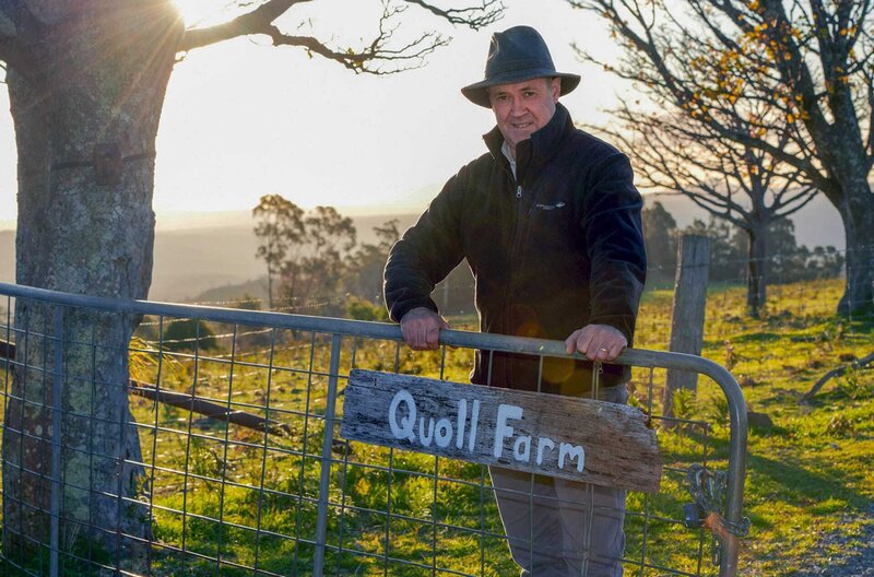 Die Welt der Tüpfelbeutelmarder – Bild: ZDF /​ © Wild Creature Films/​N. Hayward