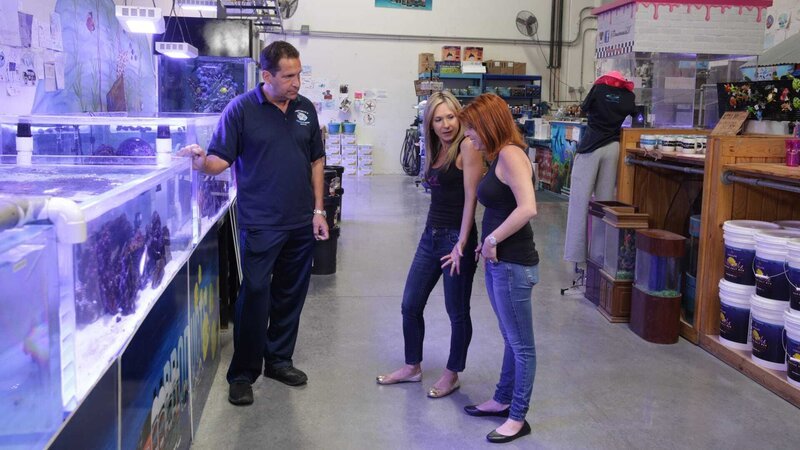 The girls go fish shopping with Izzy. – Bild: Animal Planet /​ Discovery Communications