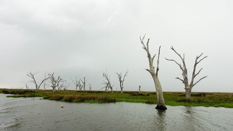 Der Untergang des Marschlands Südlouisianas begann in den 1950er Jahren, als der Flusslauf des Mississippi wegen der Überflutungsgefahr umgeleitet wurde. Die Verwendung des sendungsbezogenen Materials ist nur mit dem Hinweis und Verlinkung auf RTL+ gestattet. – Bild: RTL / MedienKontor/ Vivien Vogel Der Untergang des Marschlands Südlouisianas begann in den 1950er Jahren, als der Flusslauf des Mississippi wegen der Überflutungsgefahr umgeleitet wurde. Die Verwendung des sendungsbezogenen Materials ist nur mit dem Hinweis und Verlinkung auf RTL+ gestattet. – Bild: RTL / MedienKontor/ Vivien Vogel