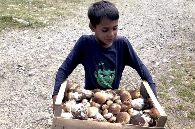 Auch Kinder müssen den ganzen Tag zum Pilzesammeln in den Wald. – Bild: Alina Teodorescu /​ Auch Kinder müssen den ganzen Tag zum Pilzesammeln in den Wald.