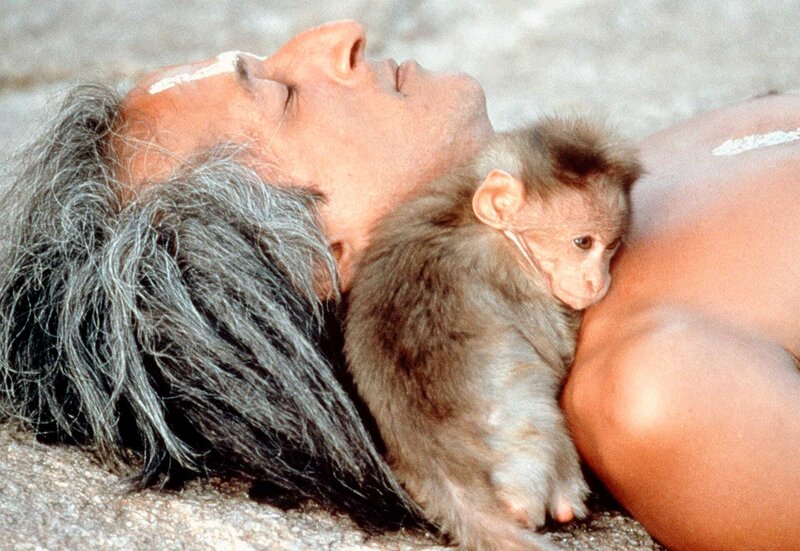 Hanuman - Im Königreich der Affen – Bild: MDR/​HR/​DEGETO