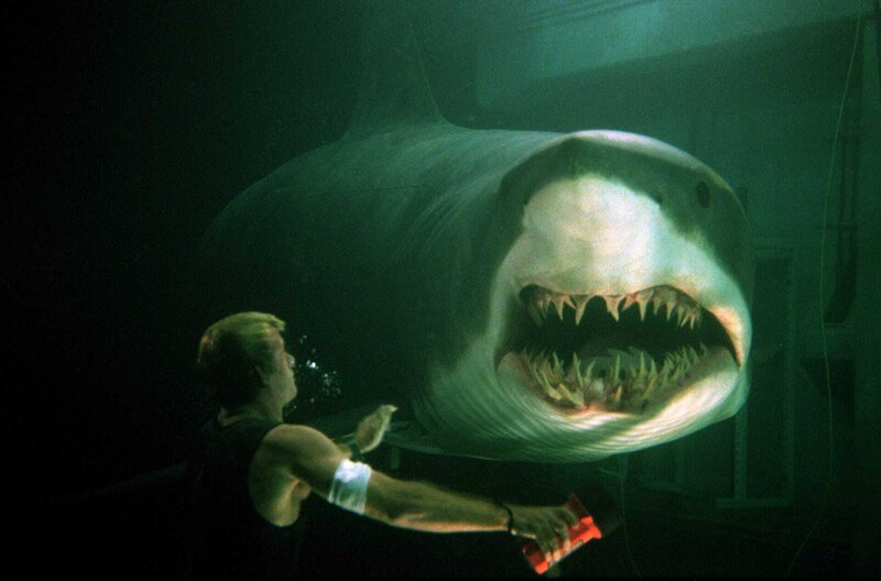 Carter Blake (Thomas Jane) wird von einem Hai attackiert. – Bild: ZDF und Merie Weismiller Wallace