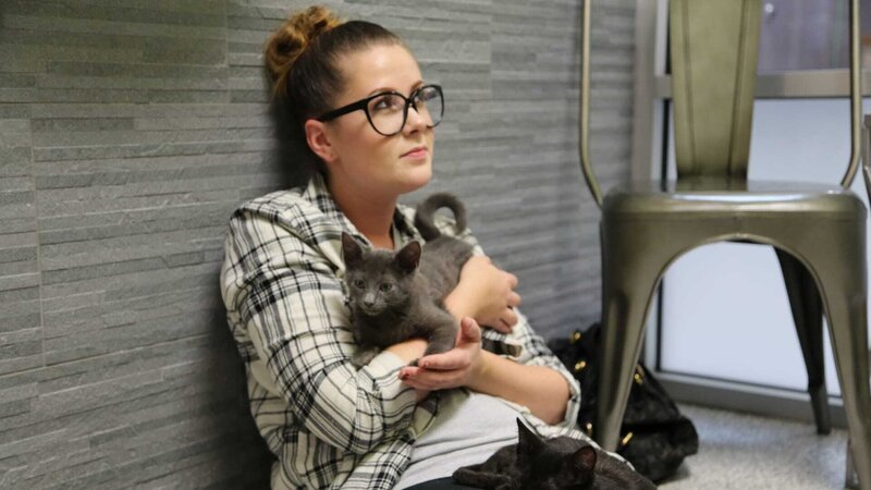 An interested adopter holding a kitten. – Bild: Animal Planet /​ Discovery Communications