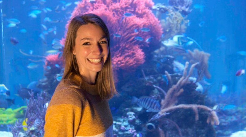Christina Fischer zu Besuch bei Europas größten Korallenzüchter im kleinen Örtchen Leinsweiler. – Bild: HR