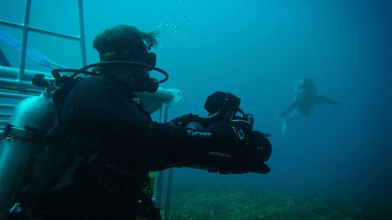 Diver. – Bild: Warner Bros. Discovery