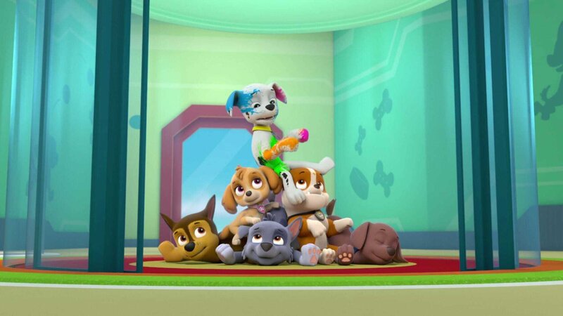 L-R: Chase, Skye, Rocky, Marshall, Rubble, Zuma – Bild: ViacomCBS