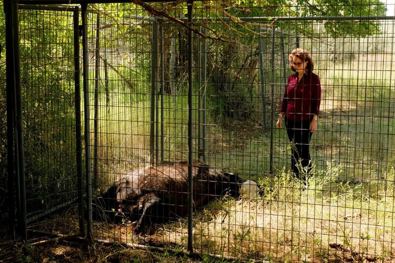 Secret of Skinwalker Ranch_The_Das Geheimnis der Skinwalker Ranch Staffel1 EP Fragwuerdige Anomalien – Bild: boxftp /​ ©HISTORY /​ A+E Networks