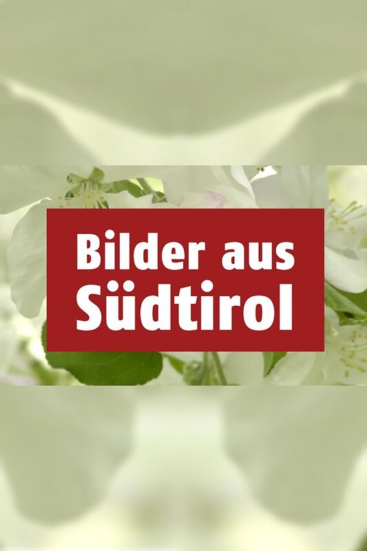 Bilder aus Südtirol – Bild: ZDF und ORF Bilder aus Südtirol – Bild: ZDF und ORF