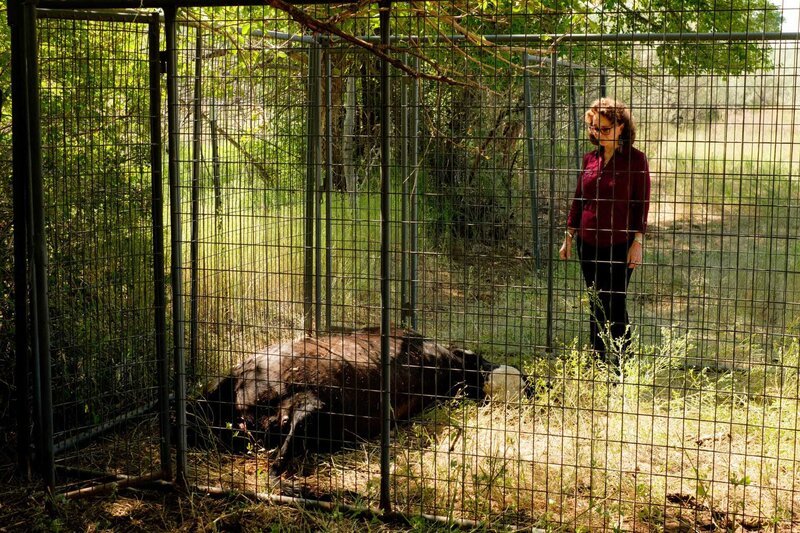 Das Geheimnis der Skinwalker Ranch S01E05 Fragwürdige Anomalien (Dangerous Curves