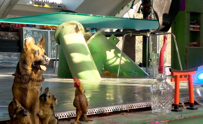 Wohnen extrem – Bild: SWR