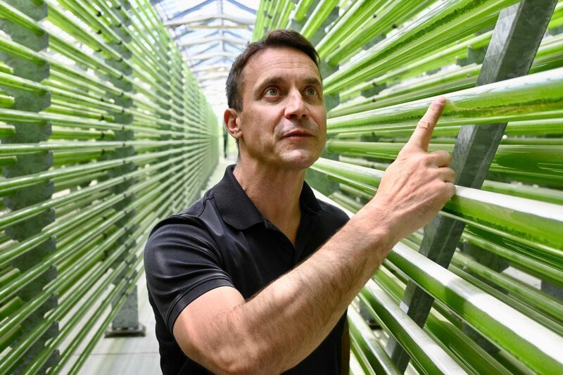 In einem 500km langen Glasröhrensystem züchtet der Biologe Jörg Ullmann Mikroalgen in der sachsen-anhaltinischen Altmark. – Bild: ZDF und Frauke Ludwig.