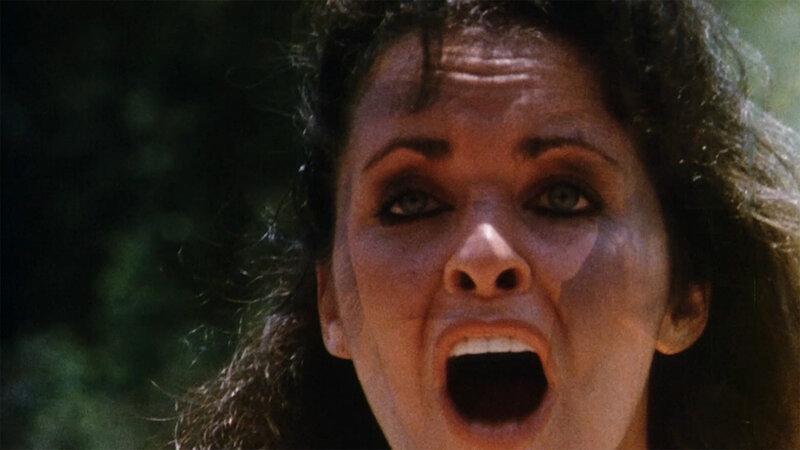 Reise ins Grauen – Bild: Silverline